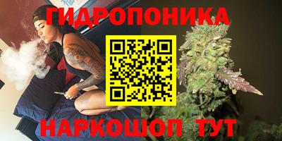 гидра Славянск-на-Кубани