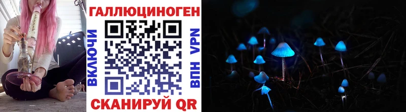 купить  сайты  Торжок  Галлюциногенные грибы Cubensis 